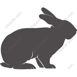 Charming Rabbit