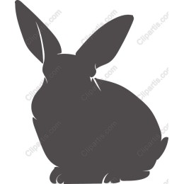 Charming Rabbit