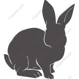 Charming Rabbit