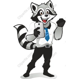 Charming Raccoon Character