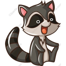 Cute Raccoon