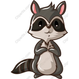 Charming Raccoon