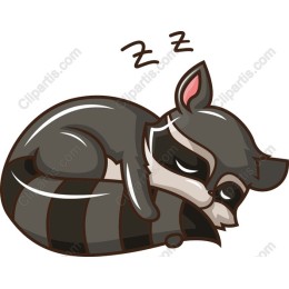 Sleeping Raccoon