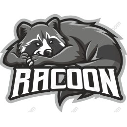 Playful Raccoon