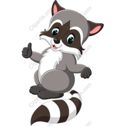 Cute Raccoon