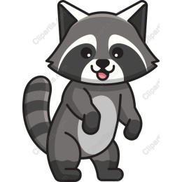 Adorable Raccoon