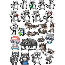 Raccoon Set
