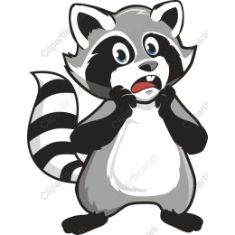 Surprised Raccoon