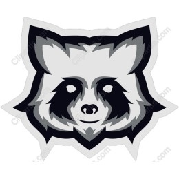 Stylized Raccoon Head