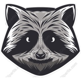 Raccoon Face