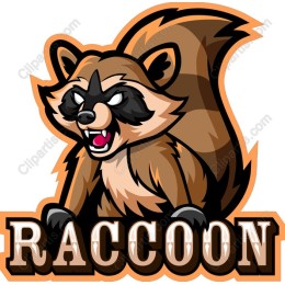Fierce Raccoon