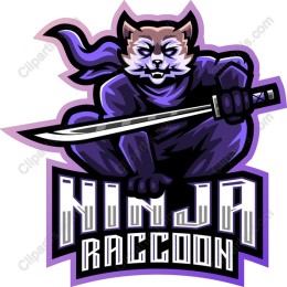 Ninja Raccoon