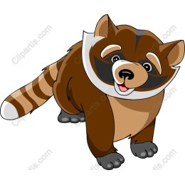 Playful Raccoon