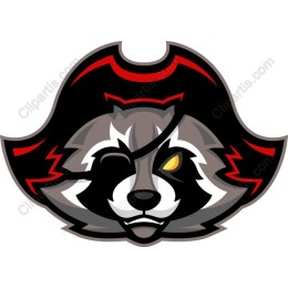 Pirate Raccoon