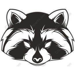Raccoon Head