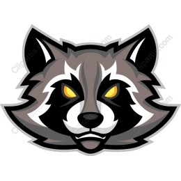 Raccoon Head