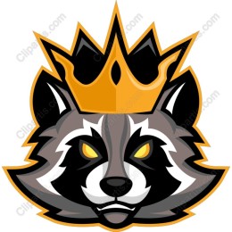 Crowned Raccoon