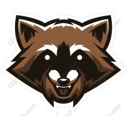Charming Raccoon