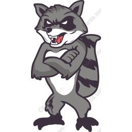 Fierce Raccoon