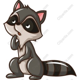 Curious Raccoon