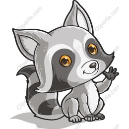 Charming Raccoon