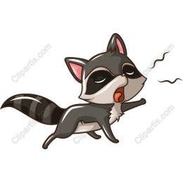 Playful Raccoon