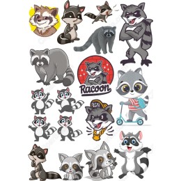 Raccoon Collection - Bundle