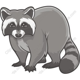 Charming Raccoon