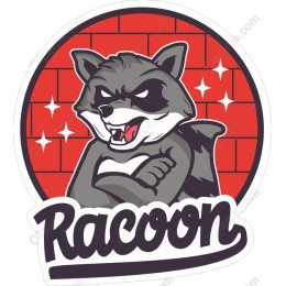 Playful Raccoon