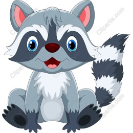 Cute Raccoon