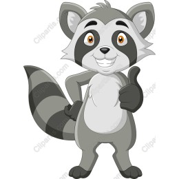 Cheerful Raccoon Character