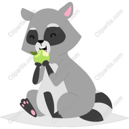 Playful Raccoon Eating Green Apple