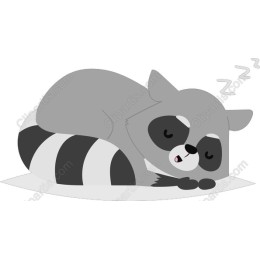 Snoozing Raccoon