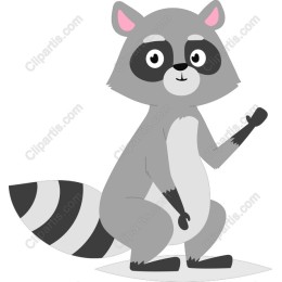 Cute Cartoon Raccoon