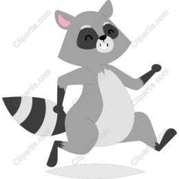 Cheerful Raccoon