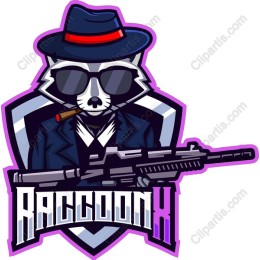 Raccoon X