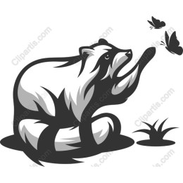 Playful Bear