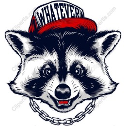 Trendy Raccoon with Cap