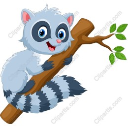 Playful Raccoon on Branch