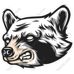 Fierce Raccoon Head