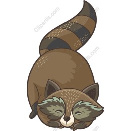 Sleepy Raccoon