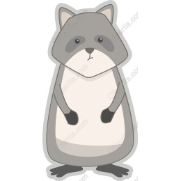 Cute Raccoon