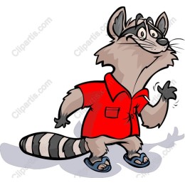 Cheerful Raccoon