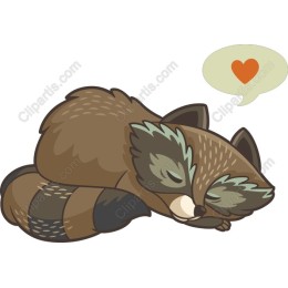 Charming Sleeping Raccoon