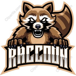 Fierce Raccoon Logo