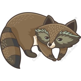 Charming Raccoon
