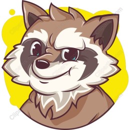 Adorable Raccoon
