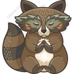 Meditative Raccoon