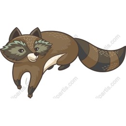 Charming Raccoon