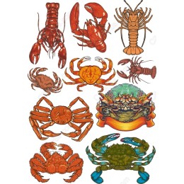 Crustacean Bundle - Lobsters, Crabs & Marine Life
